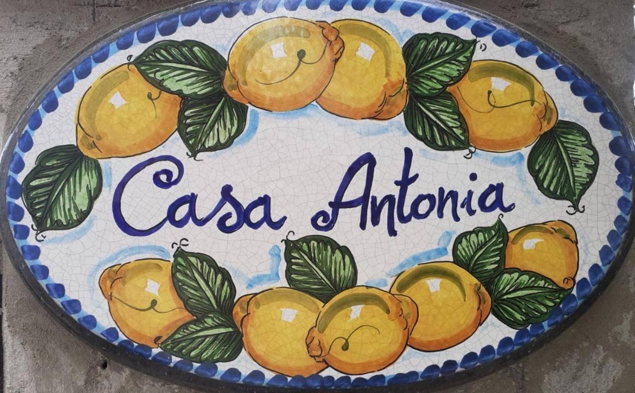 Casa Antonia Apartment Анакапри Екстериор снимка
